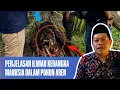 Download Lagu Geger ! Misteri Penemuan Kerangka Dalam Pohon Aren Di Sumut‼️