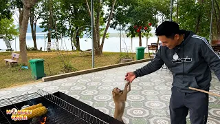 Monkey Kaka just wants her dad to stay with her forever