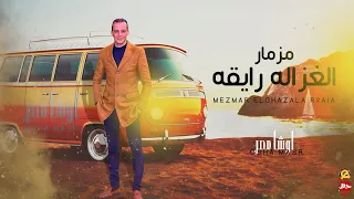 جديد   مزمار الغزاله رايقه الجديد        اوشا مصر   طلعات حظ هتكسر السماعات   شعبي جديد      دندنها