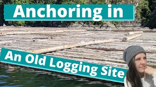 Using an Old Logging Site as an Anchorage! (League 54)