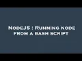 NodeJS Running node from a bash script