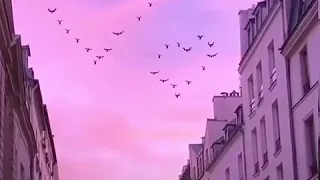 اعزف على اوتار الصمت  اعزف على اوتار الصمت