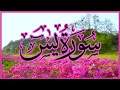 Download Lagu Surah Yaseen full by@Obaida muafaq #tilawt #tilawtequran #surahyasin