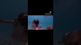 The underwater world