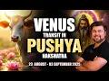 Download Lagu Venus transit in Pushya Nakshatra | 23 August - 3 September 2025 | Analysis by Punneit