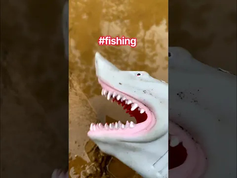 pov: Fishing is fun and easy #fishing
