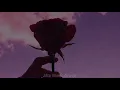 Bestia - Junior H (Letra/Lyrics)