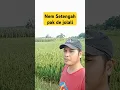Download Lagu harga gabah 2025