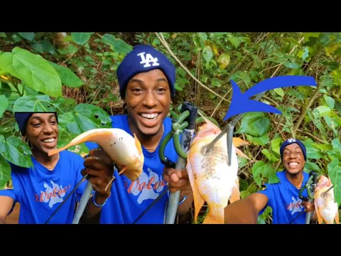 Download MP3 Biggest Queen Tilapia I Ever Seen [ Catch \u0026 Cook ]￼ first time I ever been this excited
