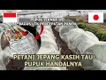 Lagu TERNYATA PETANI JEPANG GUNAKAN PUPUK INI UNTUK MEMPERCEPAT PERTUMBUHAN SAYUR