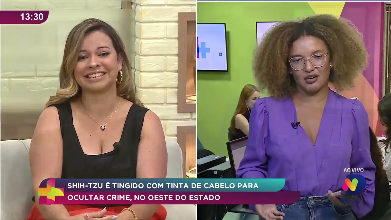 Shih-tzu é tingido com tinta de cabelo para ocultar crime