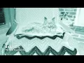 RailRats Instrumental