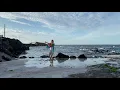 🌴 08. Pupu Ao Ewa Hibisband (Official Video)