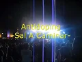 Antidoping- Sal A Caminar