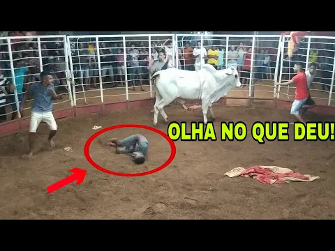 TOURADA EM NOVA REDENO BA