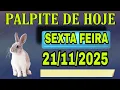 PALPITE DO NETO 21/11/2025