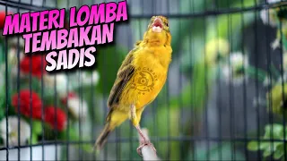 Download MASTERAN KENARI UNTUK LOMBA - SUARA KENARI ISIAN PRENJAK CILEK GACOR MP3