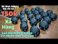 Download Lagu 25/9/2025. Loa Harman Kardon về ngập nhà nhiều như lợn con. Thanh lý dàn Mini nội địa Nhật cao cấp.