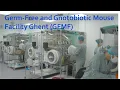 Germ-free and Gnotobiotic Mouse Facility Ghent GFMF - Social media edit