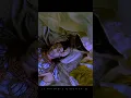 Download Lagu Pandavas and Kunti during Karna's death🥺 #mahabharat #suryaputrakarn #edits #krishna#ytshorts#shorts