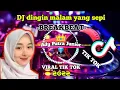 DJ Dingin Malam Yang Sepi-Aku Terdiam Diri-Viral Tik Tok 2022