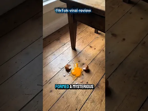 “TikTok’s MOST VIRAL Video… My Honest Review Part 1 😳