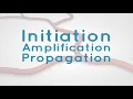 Coagulation Cascade Initiation