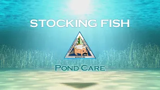 Pond Care 105 Stocking Fish