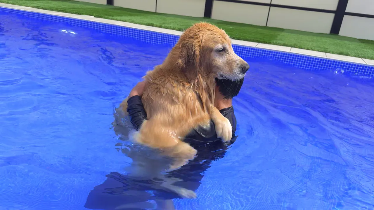 子犬みたいに抱っこされて満足そうな愛犬が可愛すぎるww