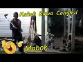 Lagu 379 ▶️ Prank Yang Mabok Kuntilanak Di Samperi Kakek Cangkul #Video​Lucu  #Prank​kuntilanak
