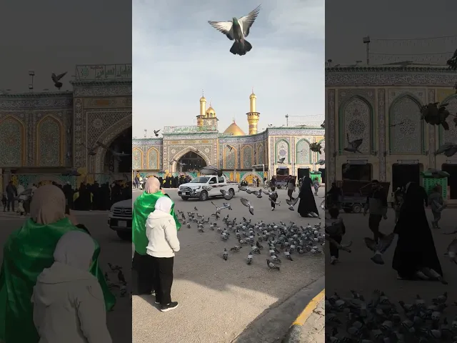 ⁣عند باب الحوائج وضعنا حوائجكم عنده عليه السلام