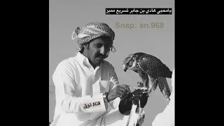 يامحبي هادي بن جابر تسريع مميز 