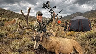 5 Days Camping & Hunting Velvet Deer with a Bow! (Nevada's High Country)