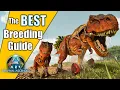 The BEST Breeding Guide on Mutations Ark Survival Ascended
