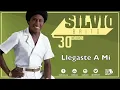 Llegaste A Mi, Silvio Brito - Audio