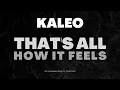 Download Lagu KALEO  - That's All How It Feels [LONER DEER COVER]