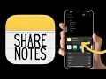 How to Share and Collaborate on Apple Notes Step-by-Step Guide