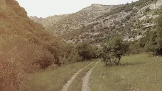 أخي سوف تبكي عليك العيون توزيع جديد 