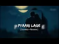 Pyaari Lage (Slowed + Reverb) | Vishal Mishra, Tulsi Kumar | Border 2 | Bollywood Lofi Songs 2025