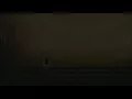 The Flashbulb - Leaves