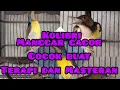 Download Lagu korlap gacor full ngerol cocok buat masteran jamin korlap anda langsung ikut gacor