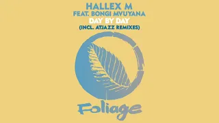 hallex m feat bongi mvuyana day by day atjazz remix 