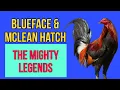 BLUEFACE MCLEAN HATCH ORIGIN TRAITS