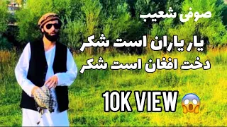 آهنگ صوفی شعیب پنجشیری قومندان الیاس دول رباب یار یاران است شکر دخت افغان است شکر Sofi Shoaib 