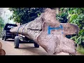 Download Lagu Momen tragis saat menggergaji kayu jati raksasa sepanjang 12 meter bahan balok joglo 50x50