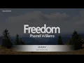 Pharrell Williams - Freedom (Melody) (Karaoke Version)
