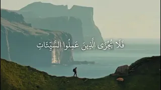 محمد مسعد سورة القصص دندنها