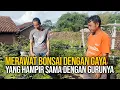 Download Lagu Bonsai-bonsai Anting Putri Rawatan Trainer Asal Cicalengka