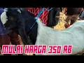 Download Lagu MULAI HARGA 350 ribu !!! PASAR LEGI DURENAN TRENGGALEK