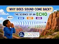 Why Does Sound Come Back The Science of Echoes Sound Waves Echolocation Kids Adults